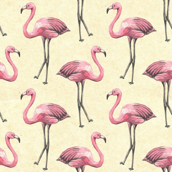 Elegant Roseus Wallpaper