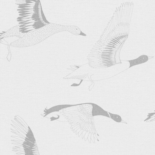 Geese Migration Wallpaper