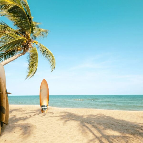 California Shortboard Mural