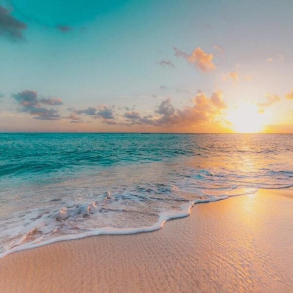 La Concha Beach Mural