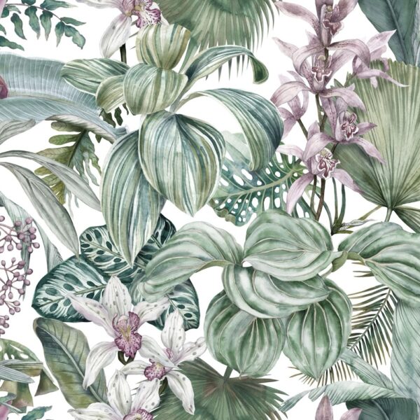 Pastel Orchid Wallpaper