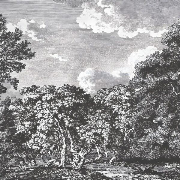 Daintree Forest Mural