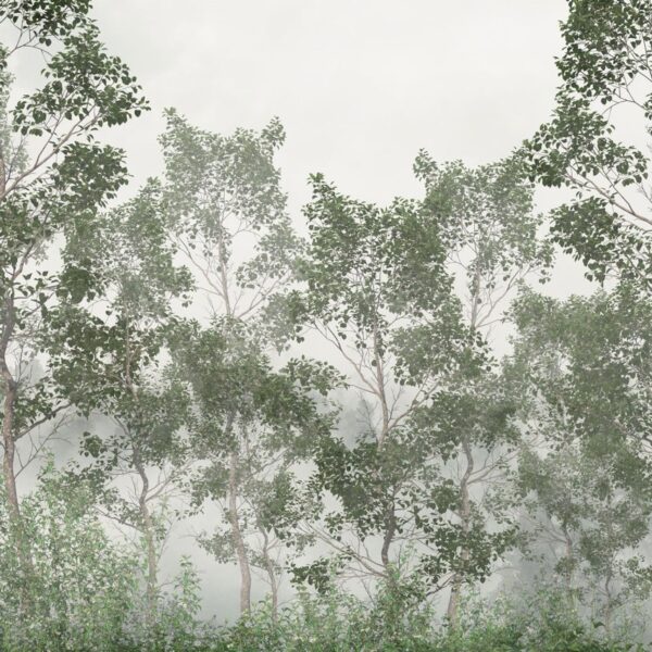 Calsano Forest Mural