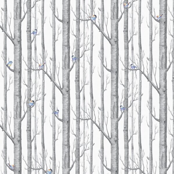 Birchwood Tweets Wallpaper