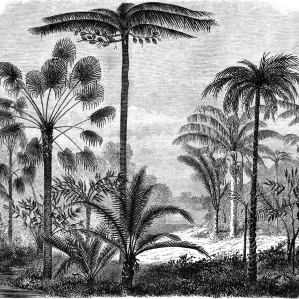 Terlino Treetops Mural