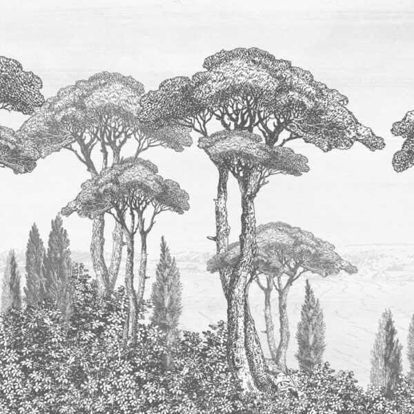 de Soarano Canopy Mural