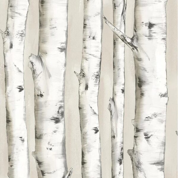 Birchwood Branches Wallpaper